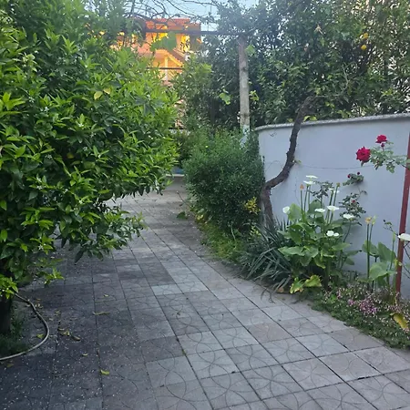 Διαμέρισμα Joel House *